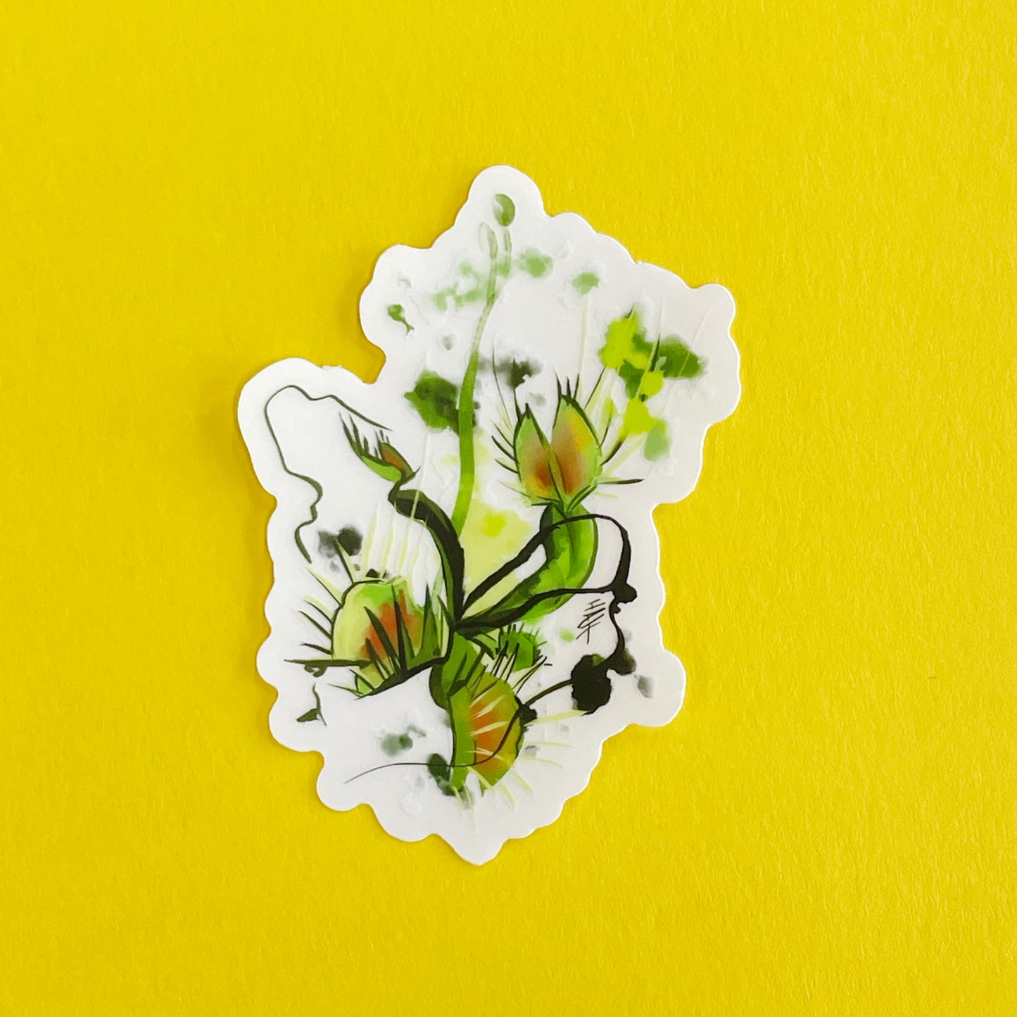 Clear Flytrap Sticker
